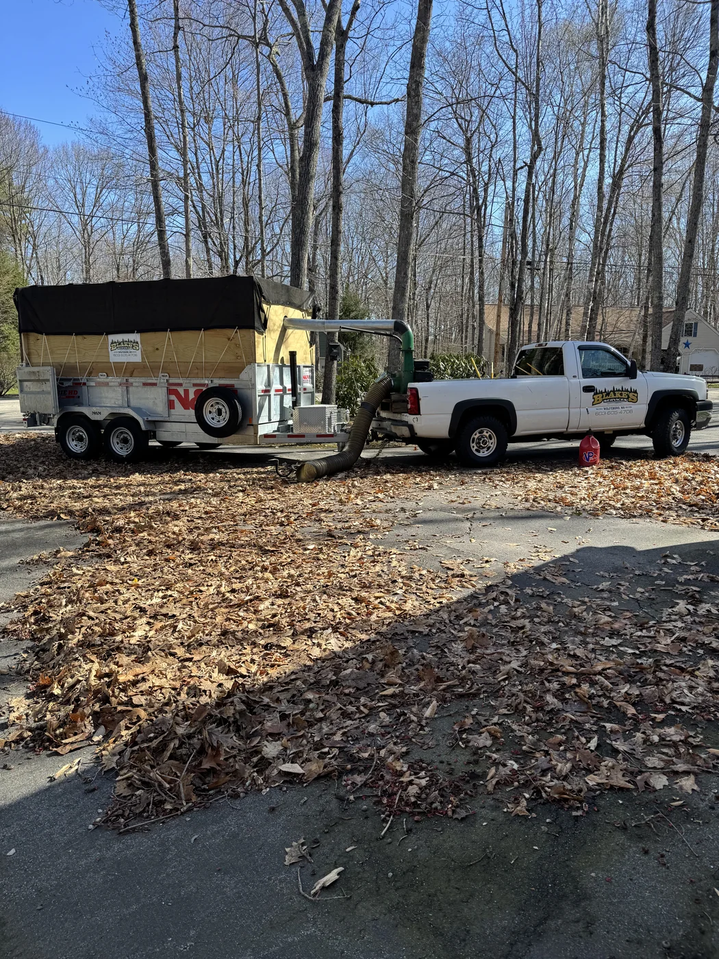 Fall cleanup and leaf removal — seasonal debris hauling and yard clearing